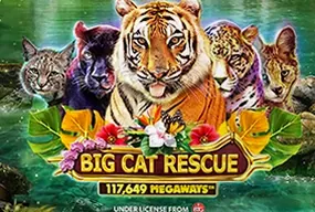Big Cat Rescue Megaways