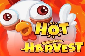 Hot Harvest